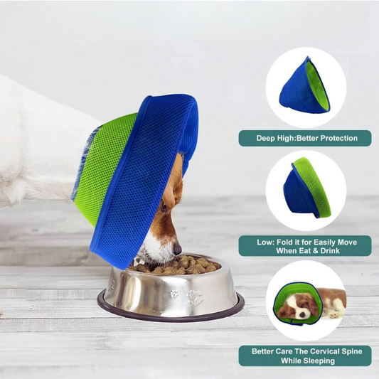 3D Mesh Recovery Dog Collar