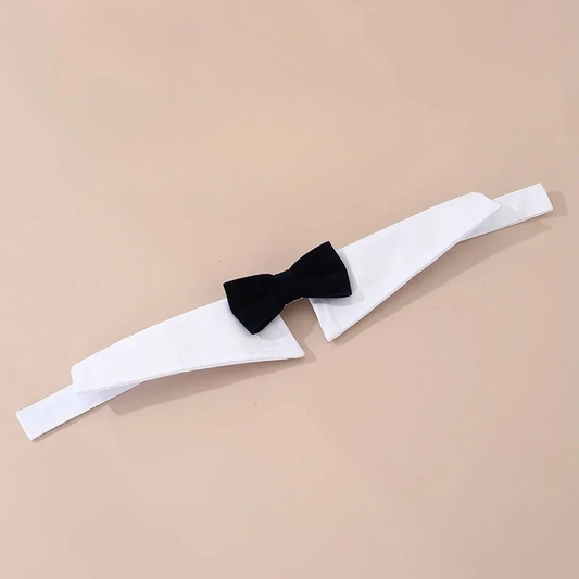 Bow Tie Dog Collar