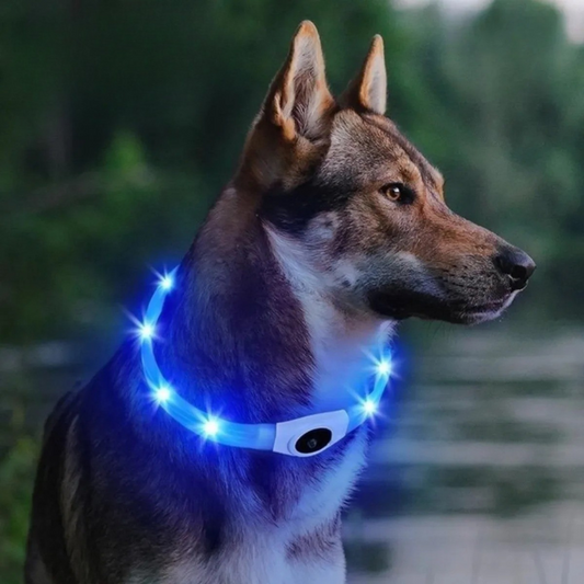 LED Glowing Dog Collar