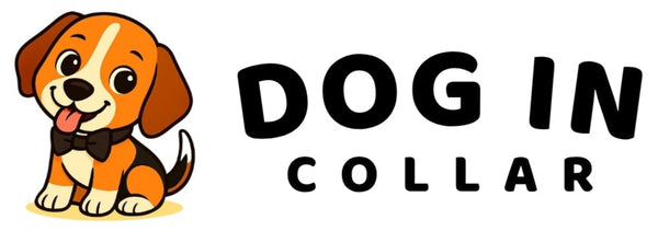 Logo of Dog In Collar Shop