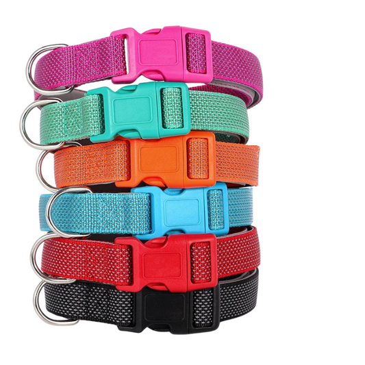 Reflective Nylon Dog Collar
