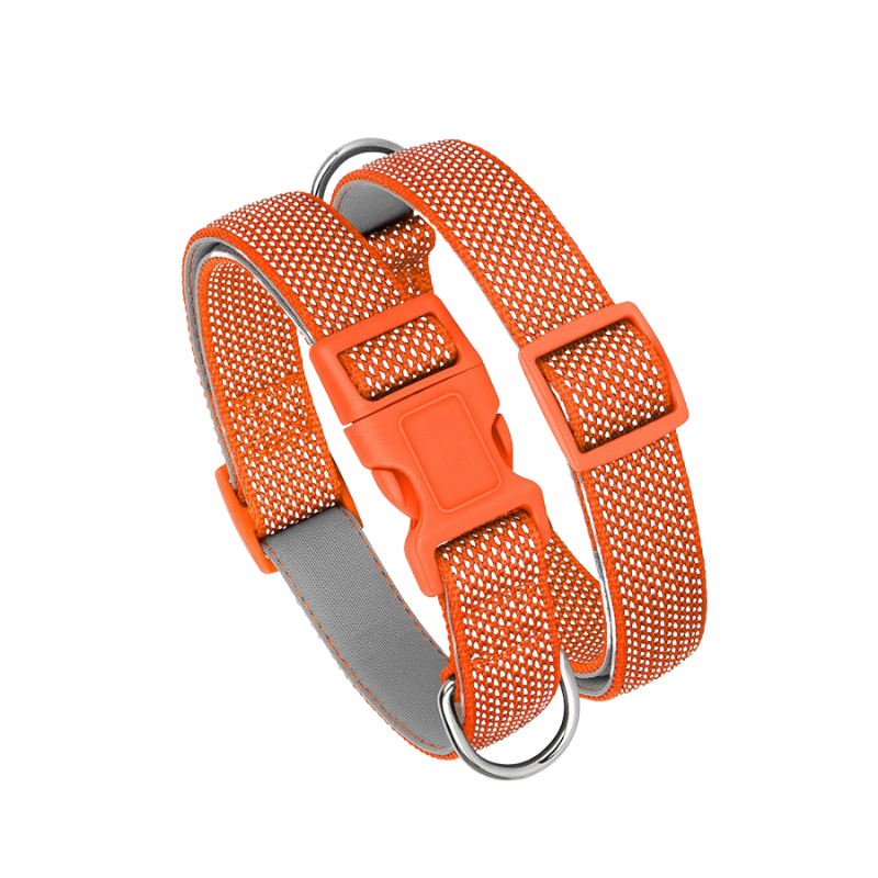 Reflective Nylon Dog Collar