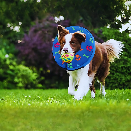 Protective Inflatable Dog Collar